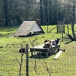 5 Au Bord Du D'ardres- Peche Gratuite Sans Permis