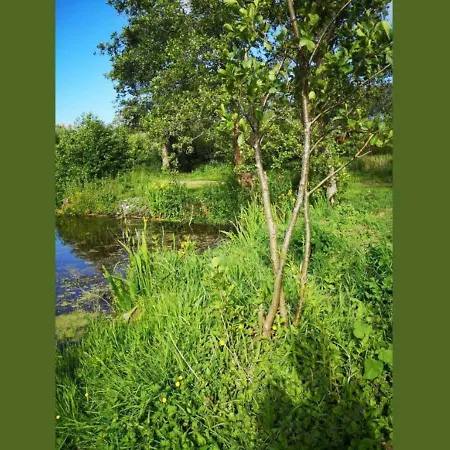 5 Au Bord Du D'ardres- Peche Gratuite Sans Permis * Ardres