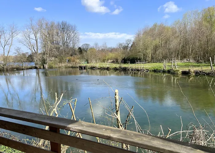 5 Au Bord Du D'ardres- Peche Gratuite Sans Permis * Ardres