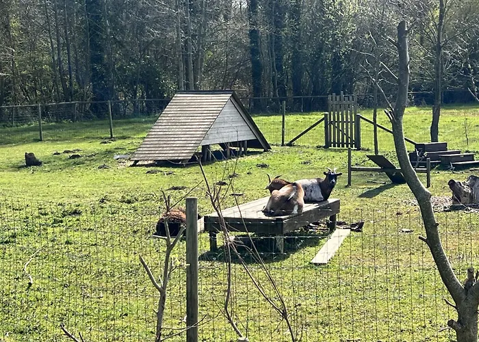 5 Au Bord Du D'ardres- Peche Gratuite Sans Permis