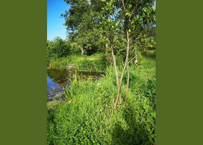 5 Au Bord Du D'ardres- Peche Gratuite Sans Permis * Ardres